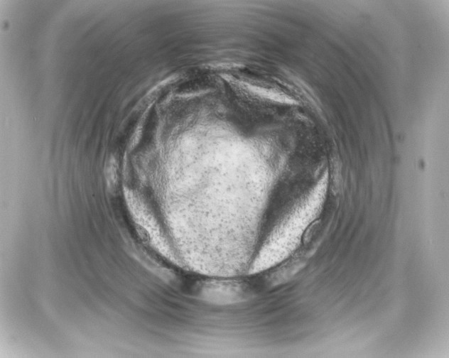 X0000087420077200705111927