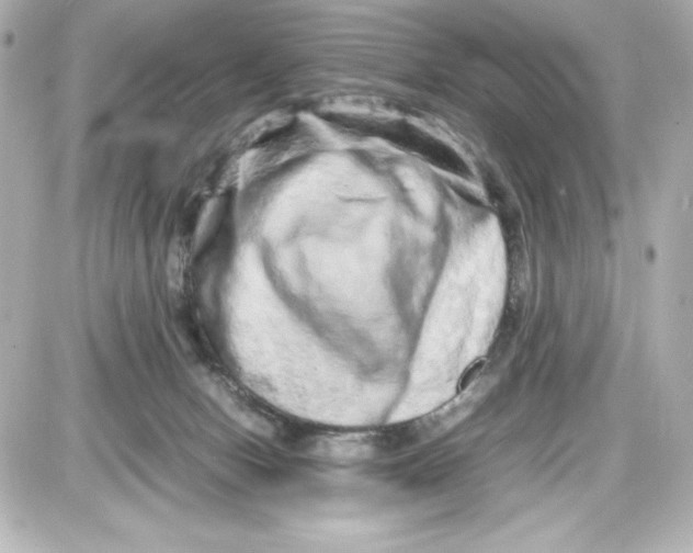 X0000087420078200705111927