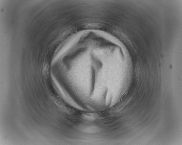 X0000087420079200705111927