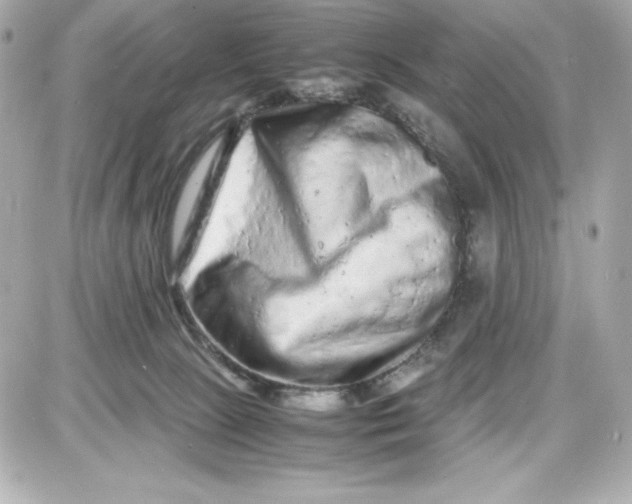 X0000087420081200705111927