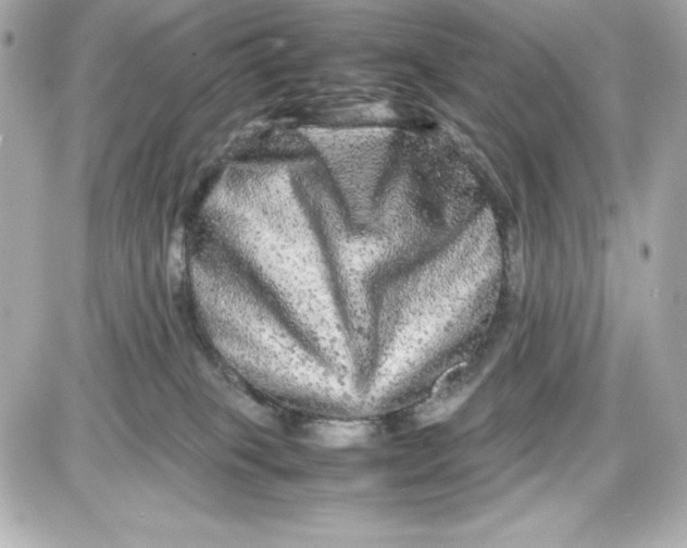 X0000087420085200705111927