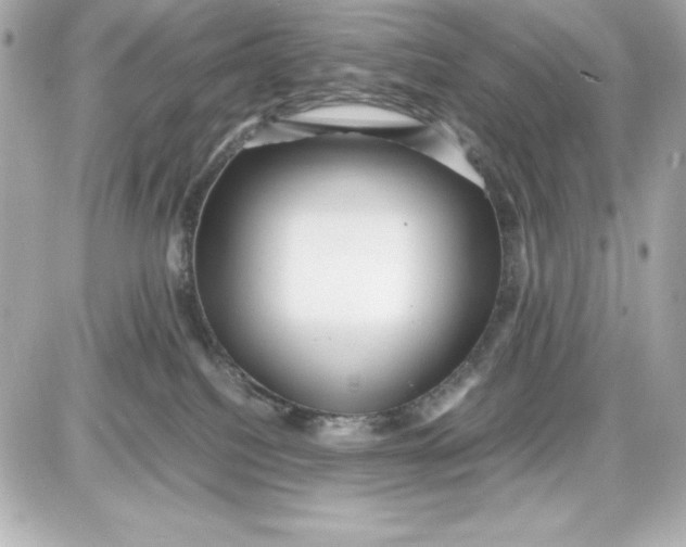 X0000087420088200705111927