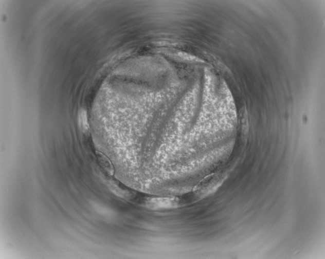 X0000087420089200705111927