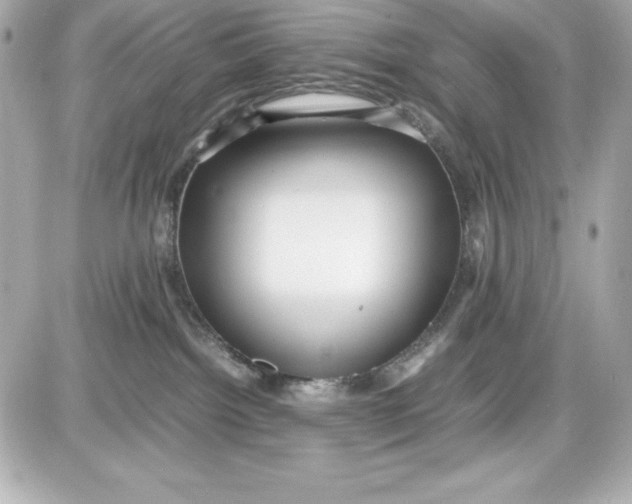 X0000087420092200705111927