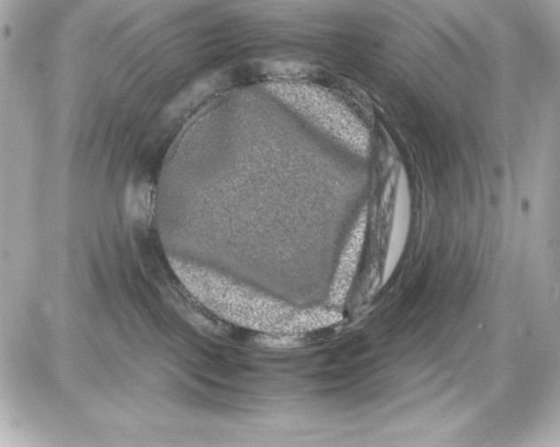 X0000087420093200705111927