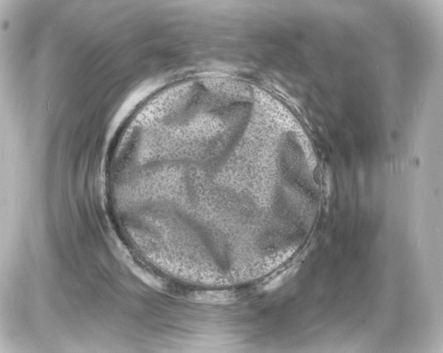 X0000087420102200705111926