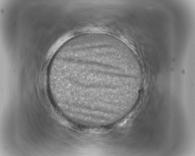 X0000087420103200705111926