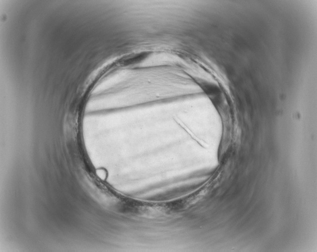 X0000087420107200705111926
