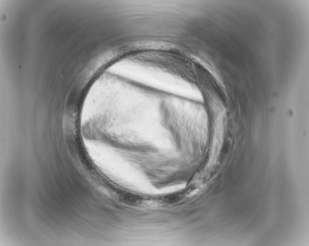 X0000087420111200705111926