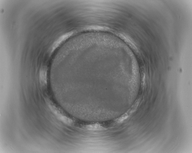 X0000087420112200705111926