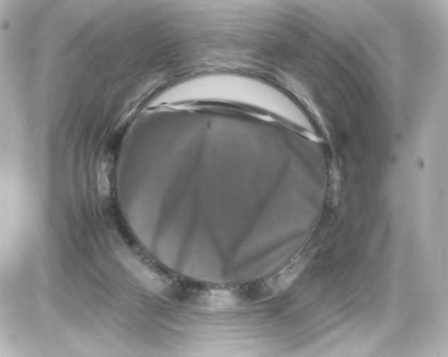 X0000087420114200705111926