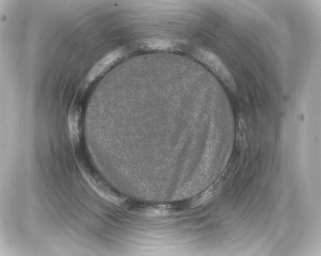 X0000087420116200705111926