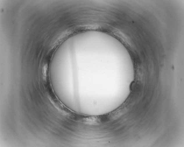 X0000087420118200705111926