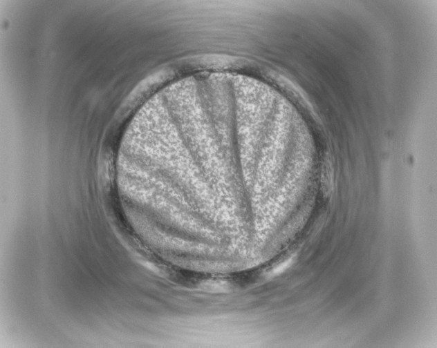 X0000087420119200705111926