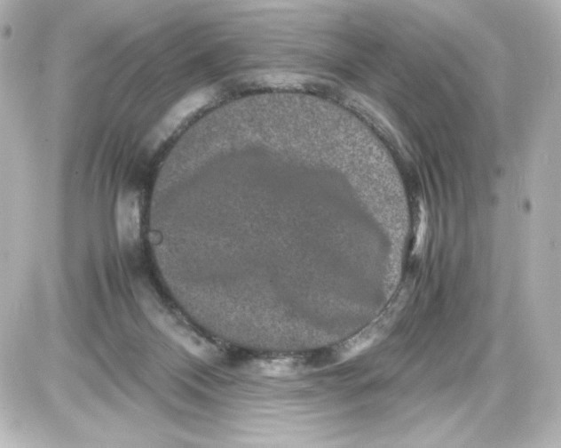 X0000087420120200705111926