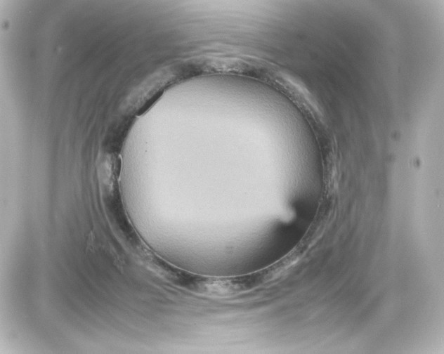 X0000087420121200705111926