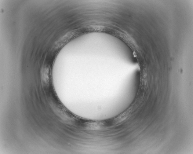 X0000087420122200705111926