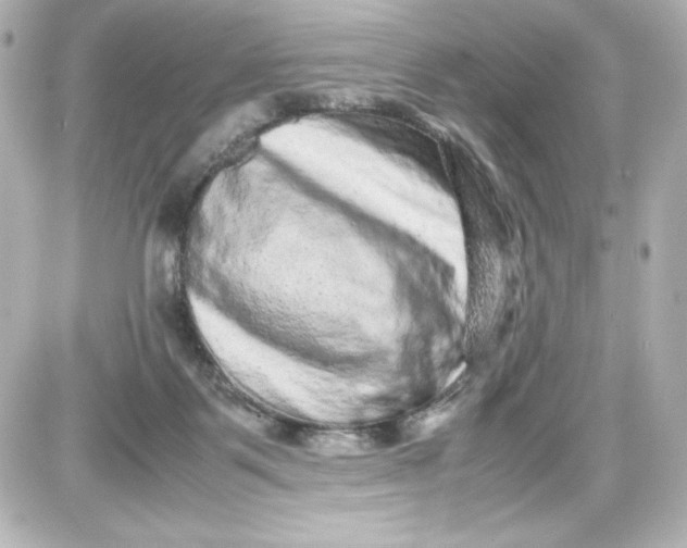 X0000087420123200705111926