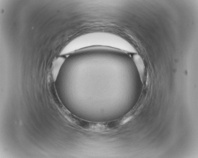 X0000087420125200705111926