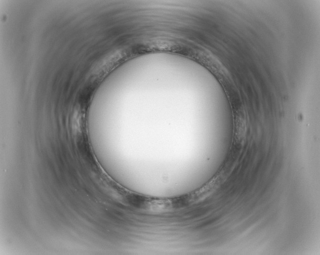 X0000087420126200705111926
