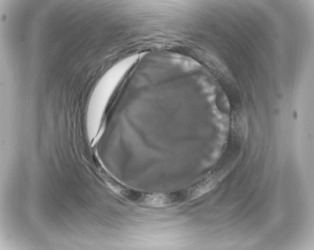 X0000087420127200705111926