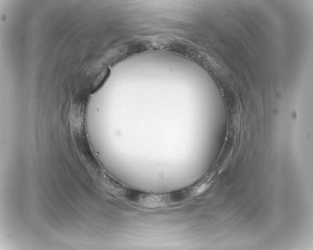 X0000087420129200705111926
