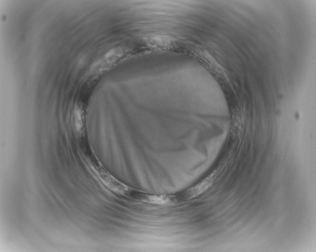 X0000087420130200705111926