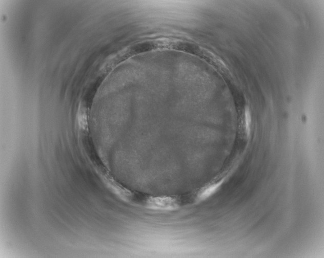 X0000087420137200705111926
