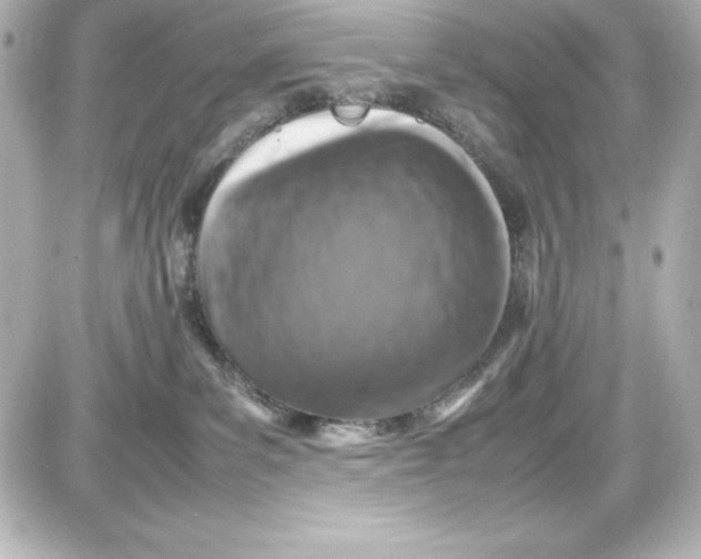 X0000087420139200705111926