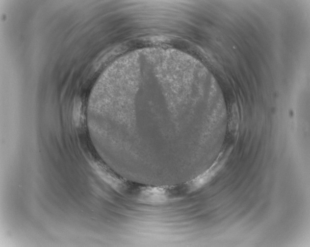 X0000087420140200705111926