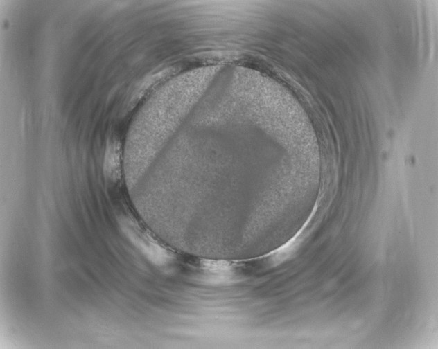 X0000087420144200705111925