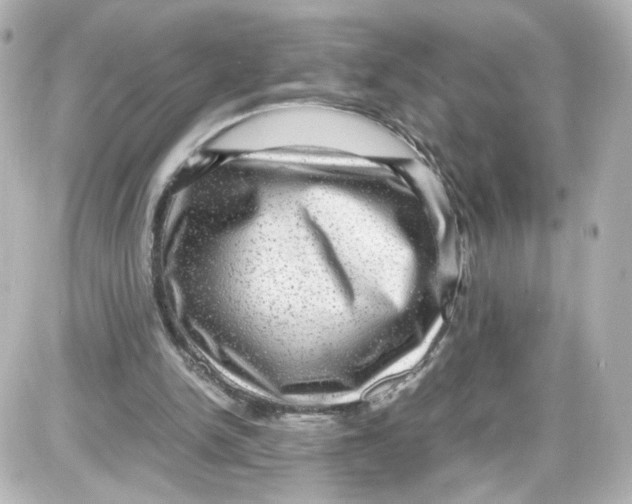 X0000087420150200705111925