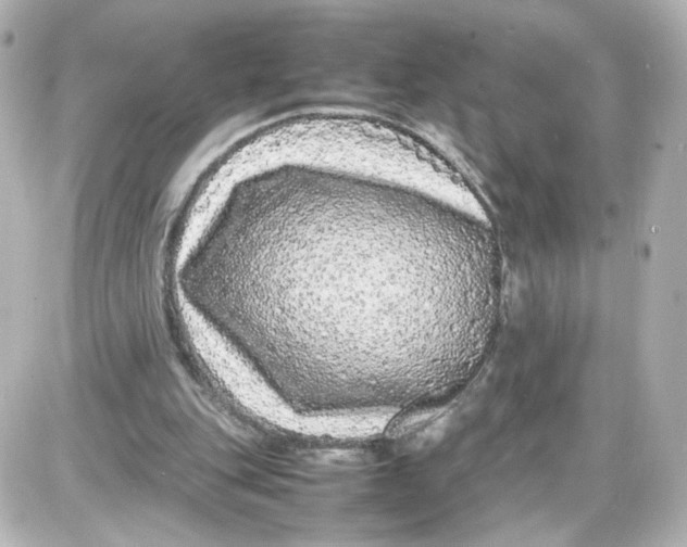 X0000087420151200705111925