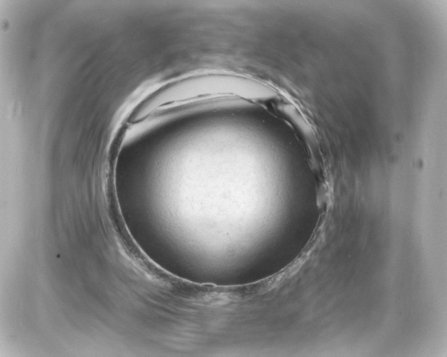 X0000087420152200705111925