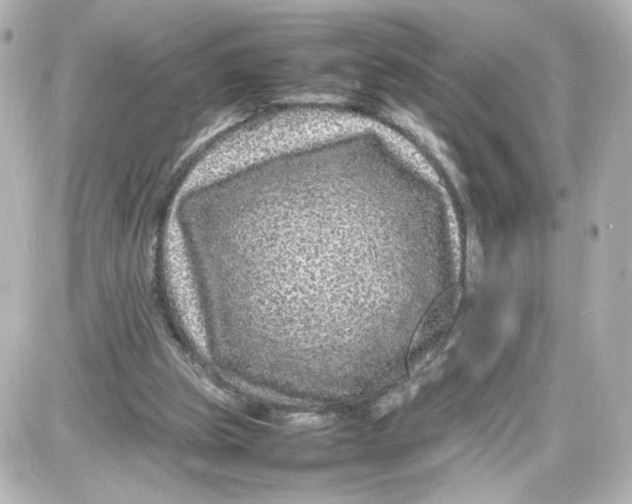X0000087420153200705111925