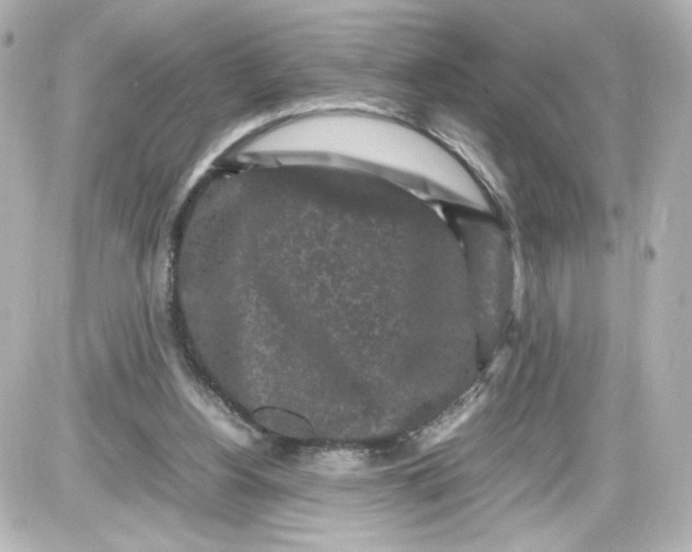 X0000087420156200705111925