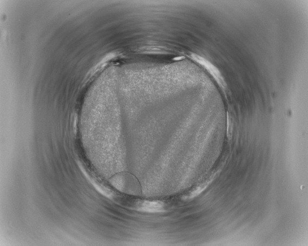 X0000087420157200705111925