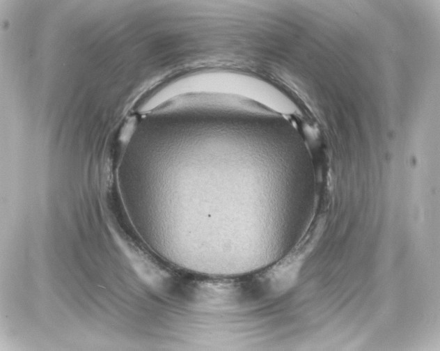 X0000087420164200705111925