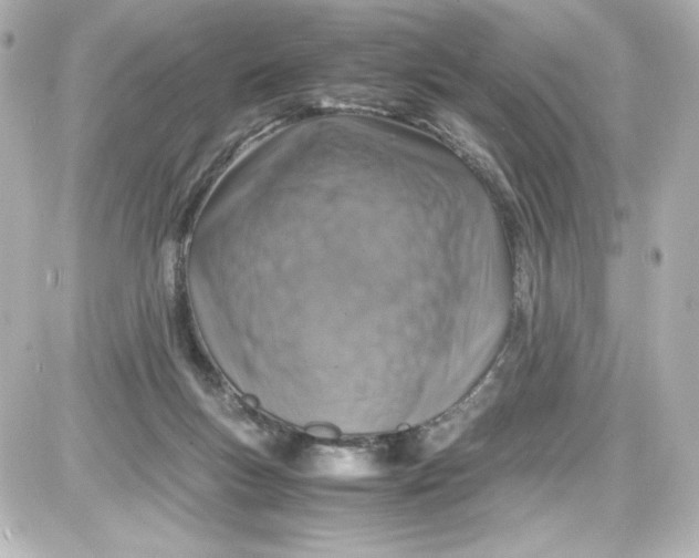X0000087420167200705111925