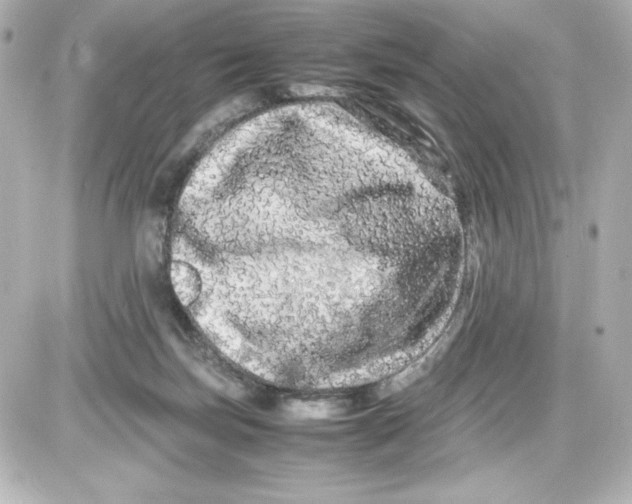 X0000087420171200705111925
