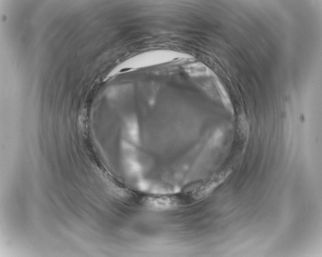 X0000087420181200705111925