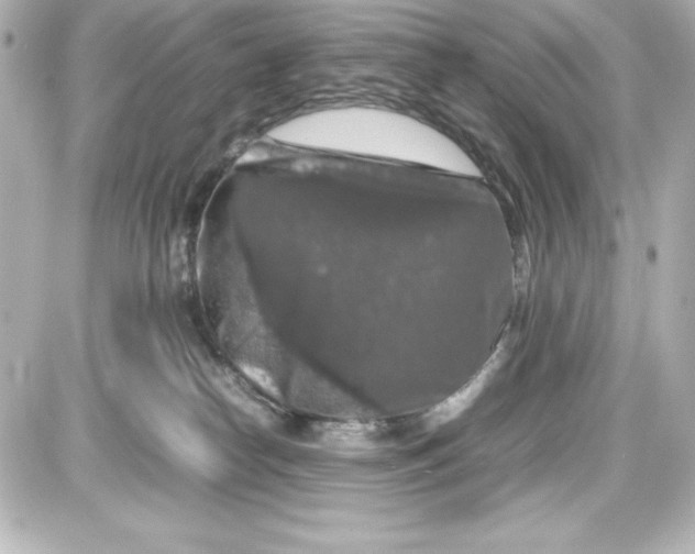 X0000087420182200705111925