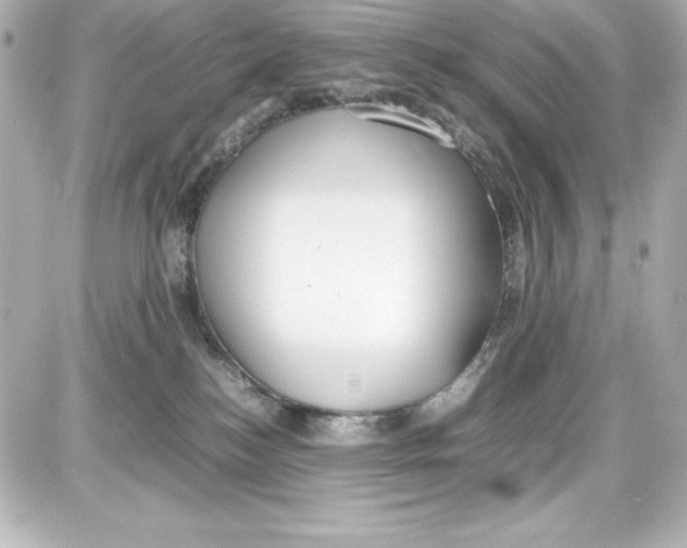 X0000087420184200705111925