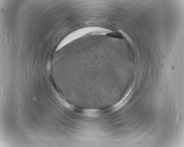 X0000087420192200705111925