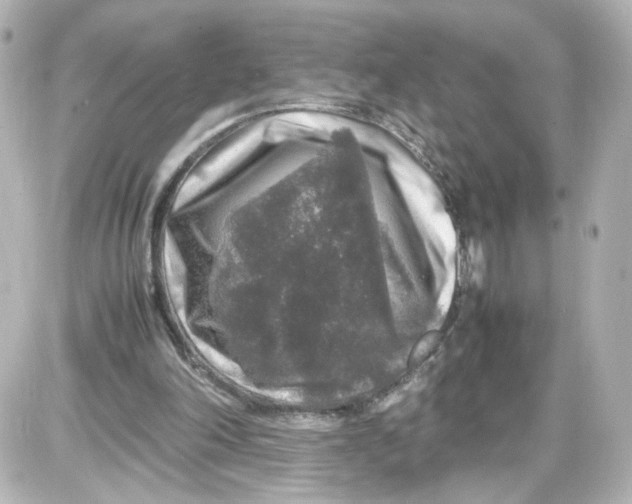 X0000087420198200705111925