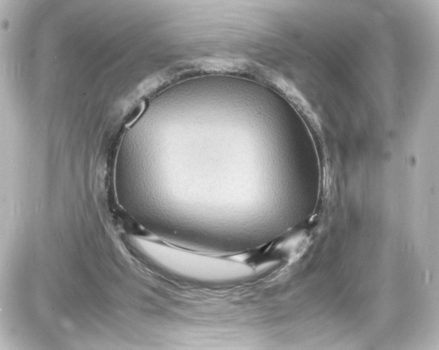 X0000087420201200705111925