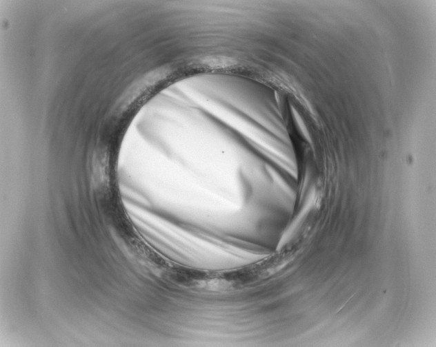 X0000087420212200705111924