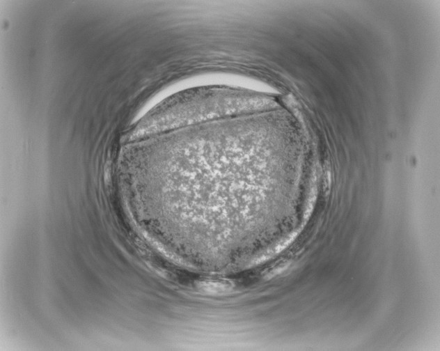 X0000087420215200705111924