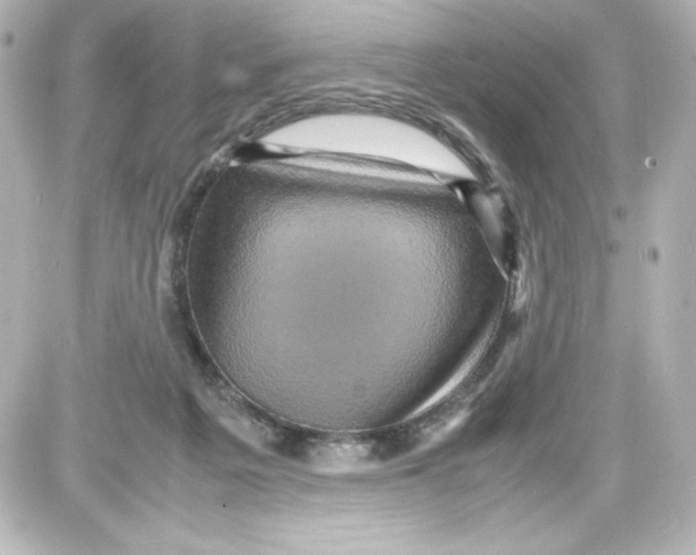 X0000087420217200705111924