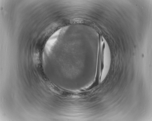 X0000087420224200705111924